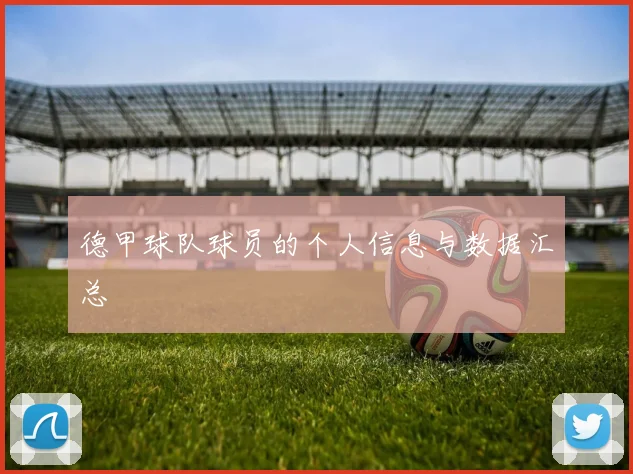 德甲球队球员的个人信息与数据汇总