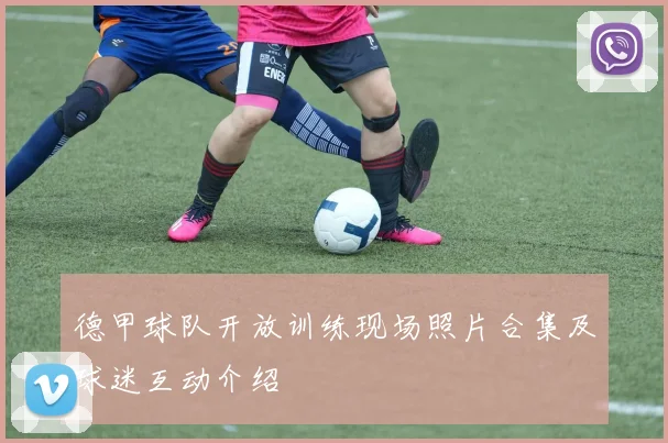 德甲球队开放训练现场照片合集及球迷互动介绍