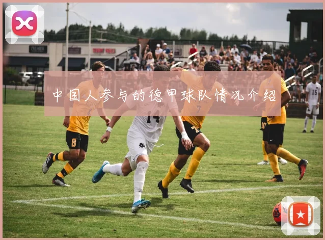 中国人参与的德甲球队情况介绍