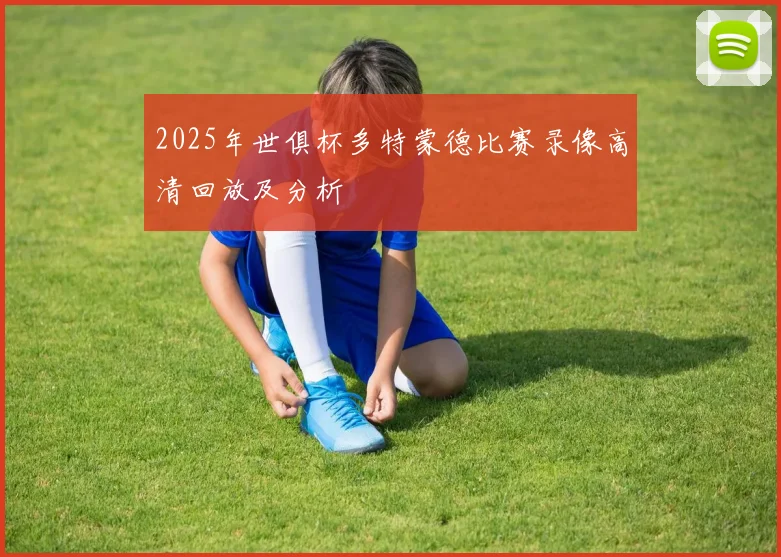 2025年世俱杯多特蒙德比赛录像高清回放及分析